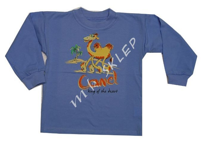 T-shirt z nadrukiem roz.92-98 błękitny